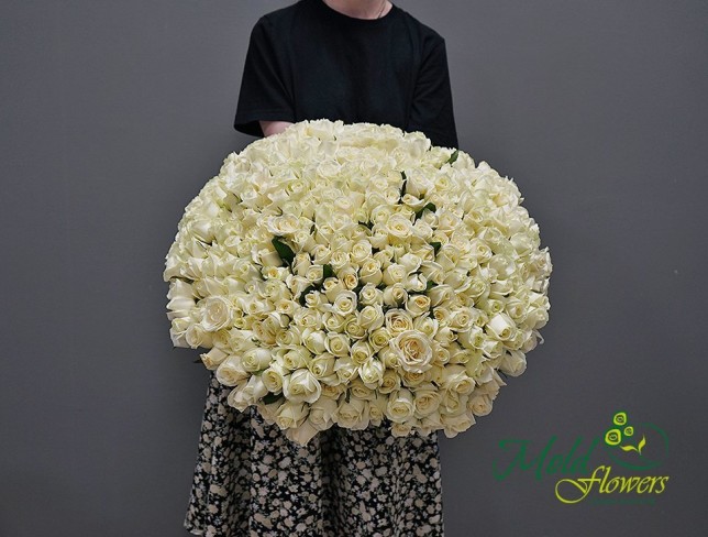 303 Белые голландские розы 50-60 см( Под заказ 5 дней) Фото